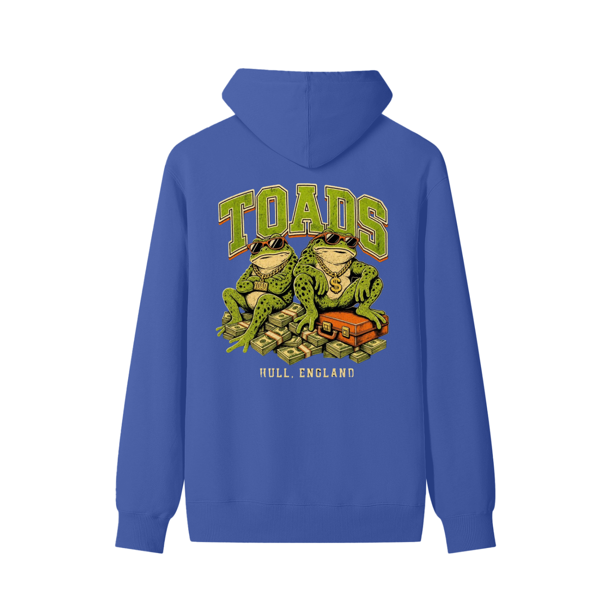 Blue unisex cotton hoodie with back graphic print of toads and “HULL, ENGLAND”